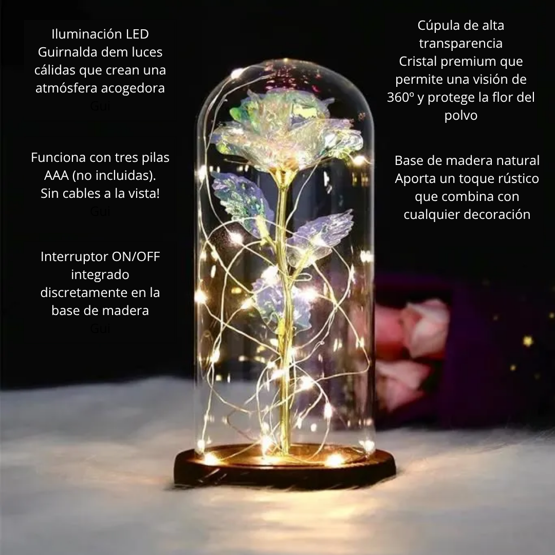 Rosa Luminosa Edición Especial Día de la Madre