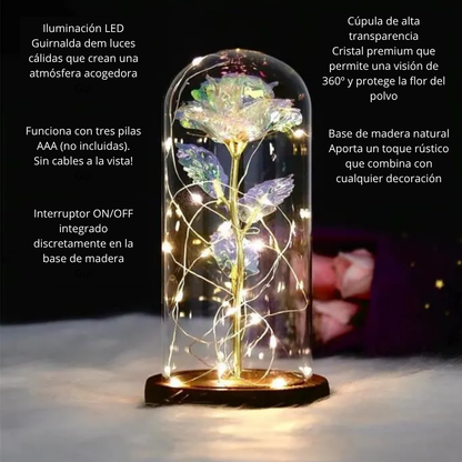 Rosa Luminosa Edición Especial Día de la Madre